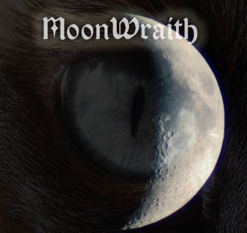 MoonWraith_Microfunding_Image